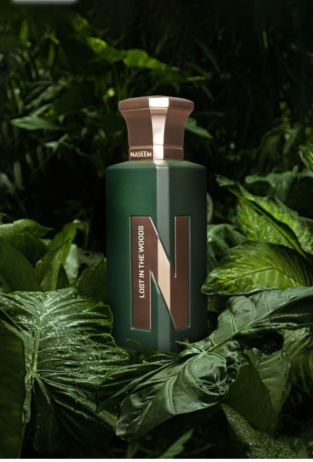 N collection LOST IN THE WOODS